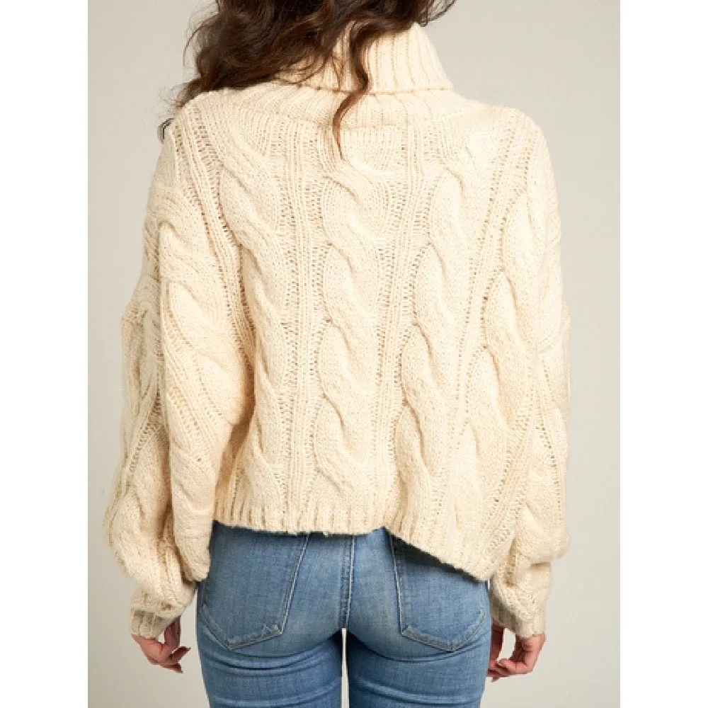 Aria Knitted Turtle Neck Sweater