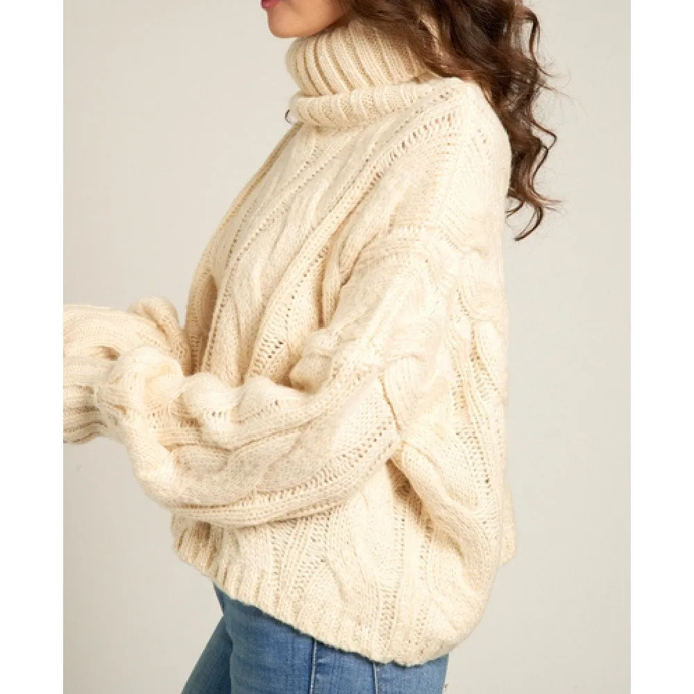 Aria Knitted Turtle Neck Sweater